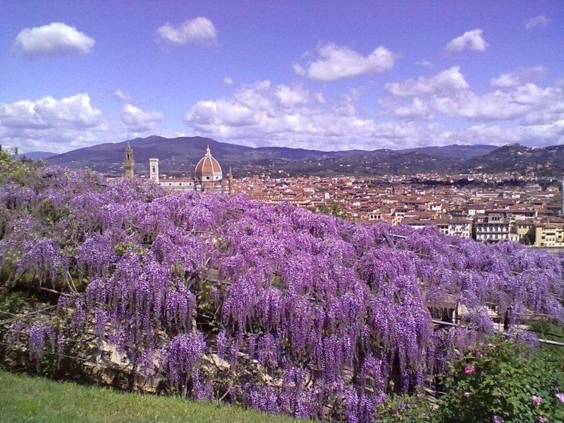 Soggiorno Alessandra Florence Luaran gambar